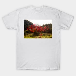 klb maple red T-Shirt